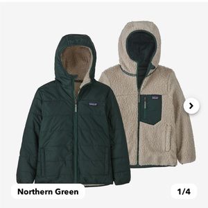 Patagonia ready Freddy hoodie jacket***Northern green